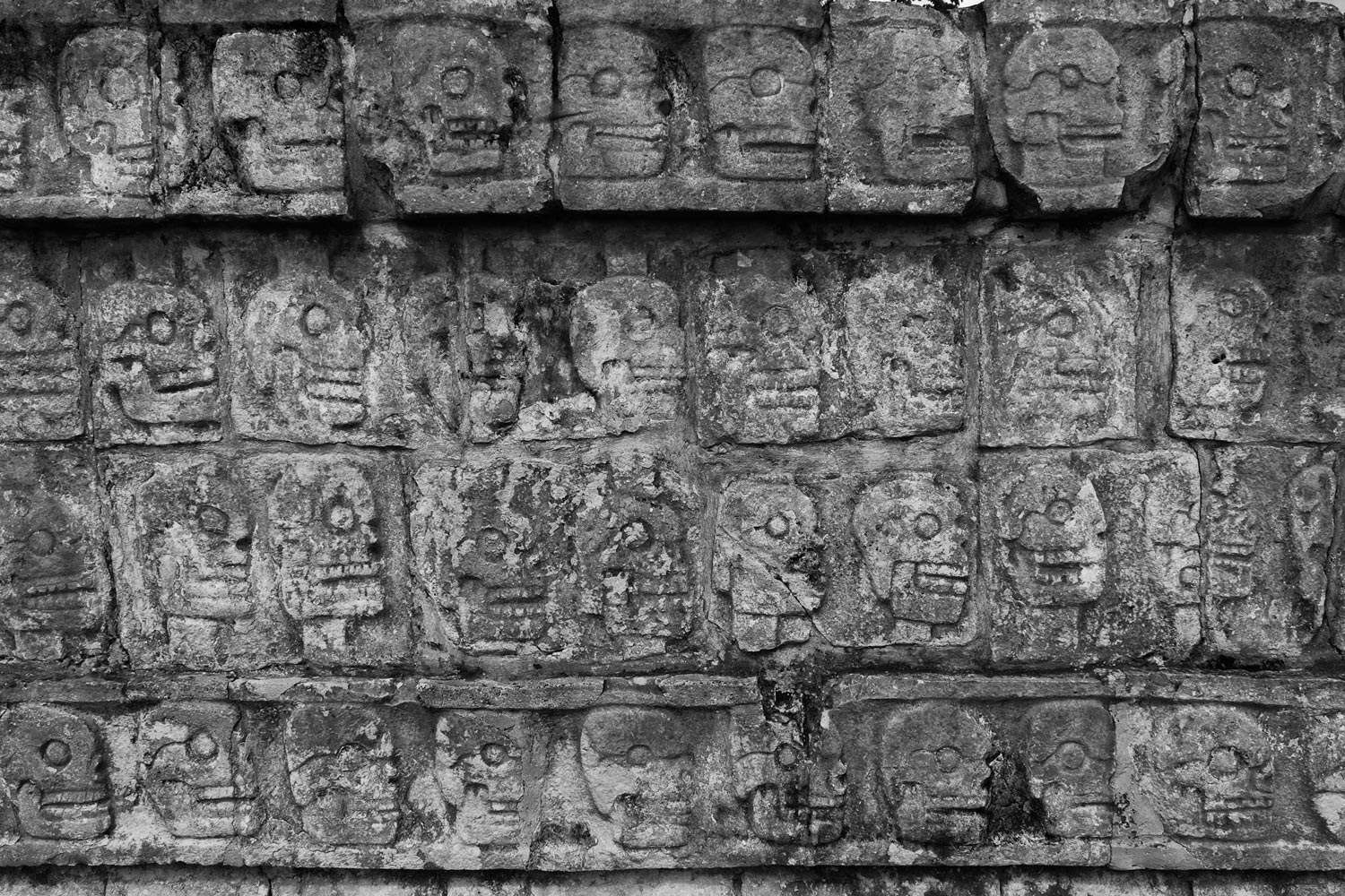 image12