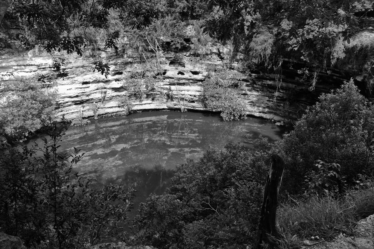image15