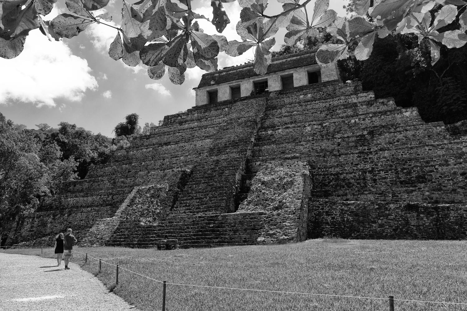 image15