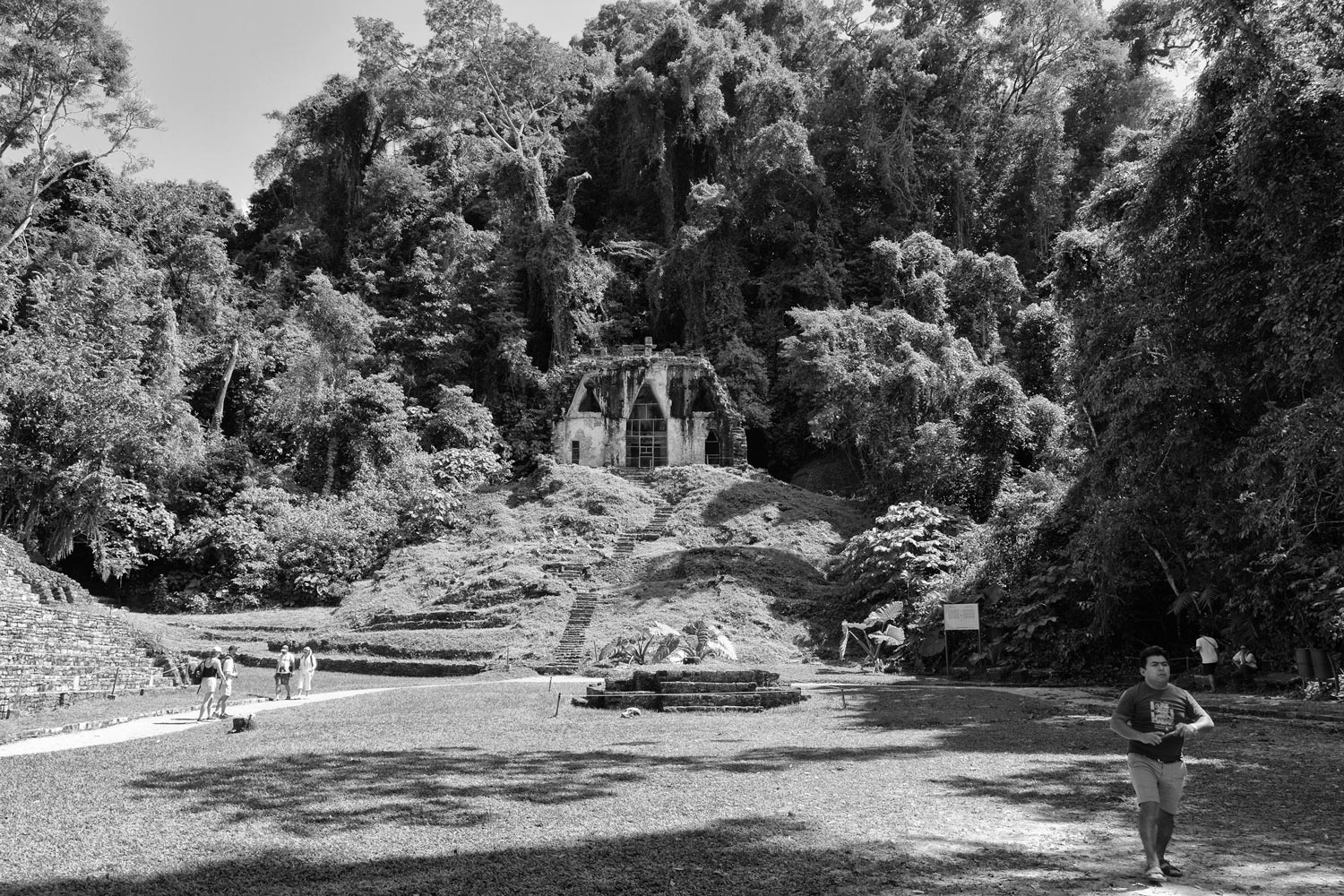 image15