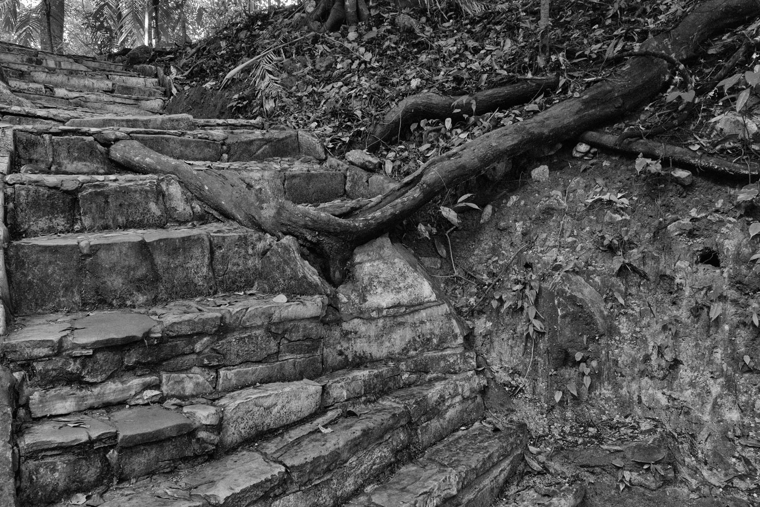 image15