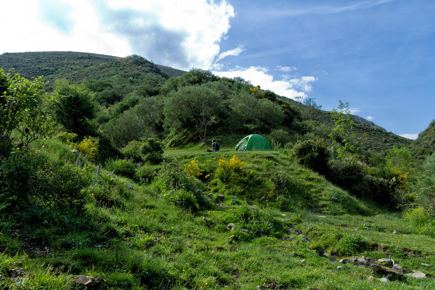 image6