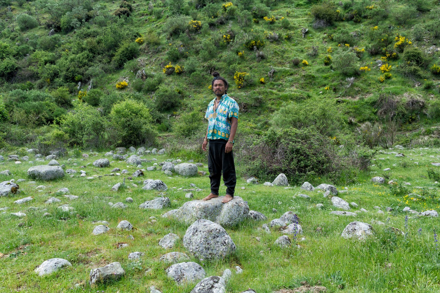 image12