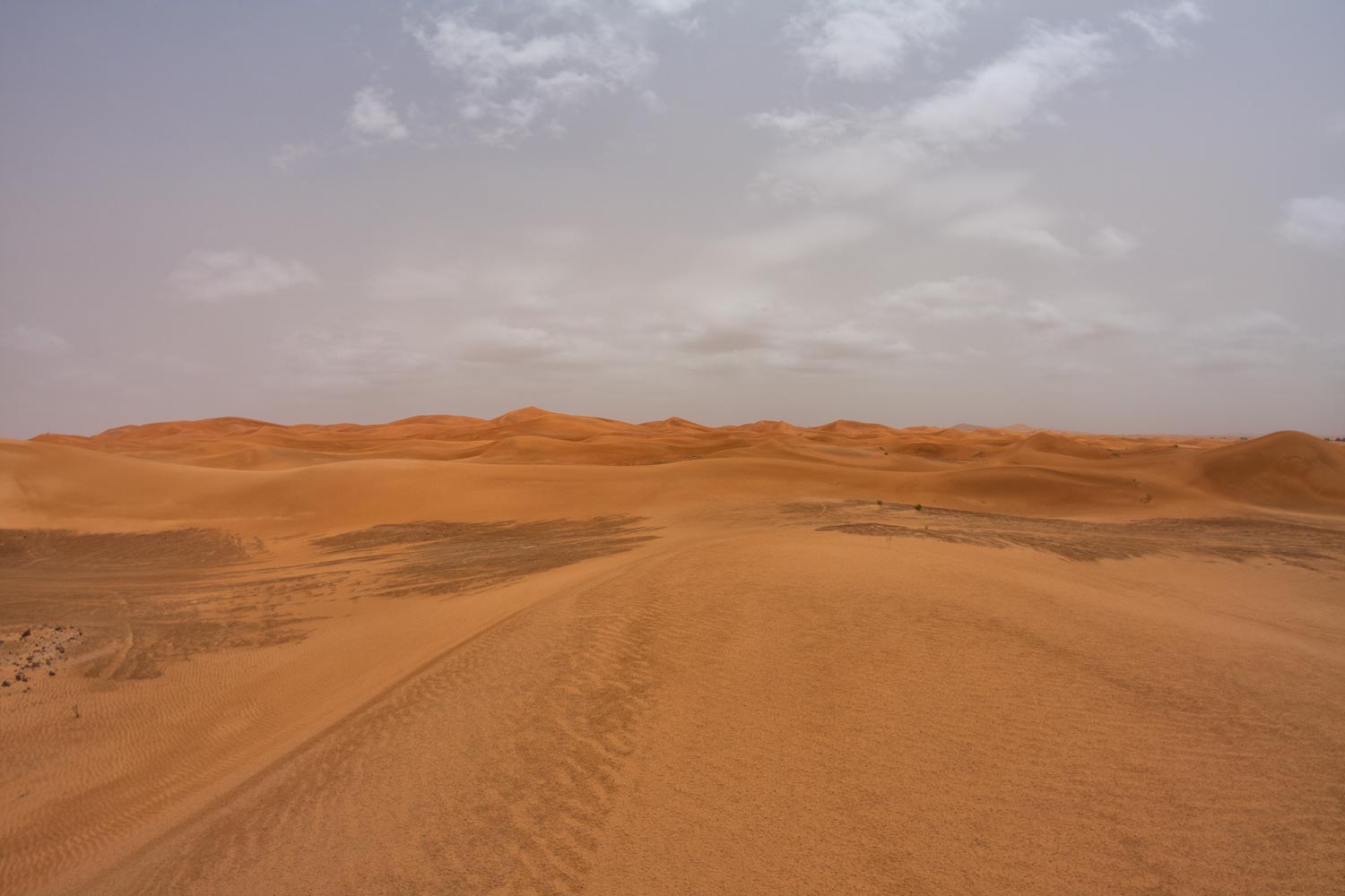 image10