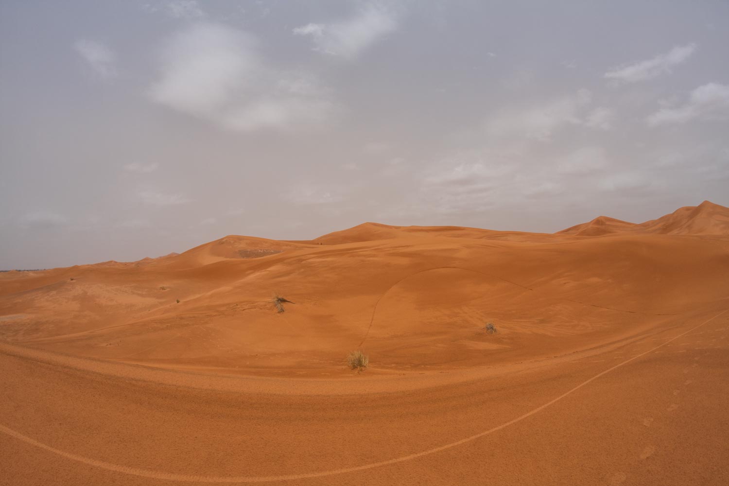 image10