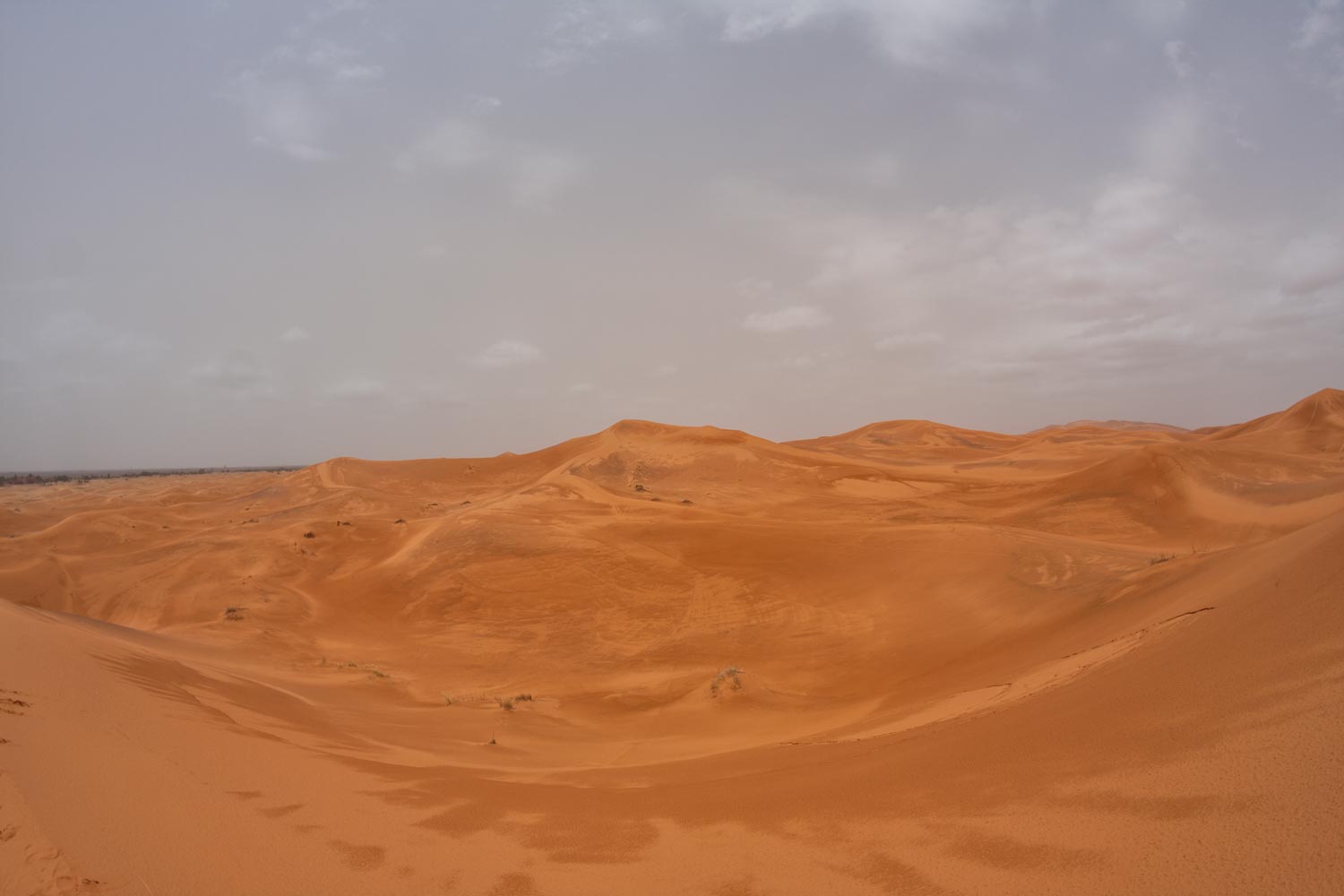image10