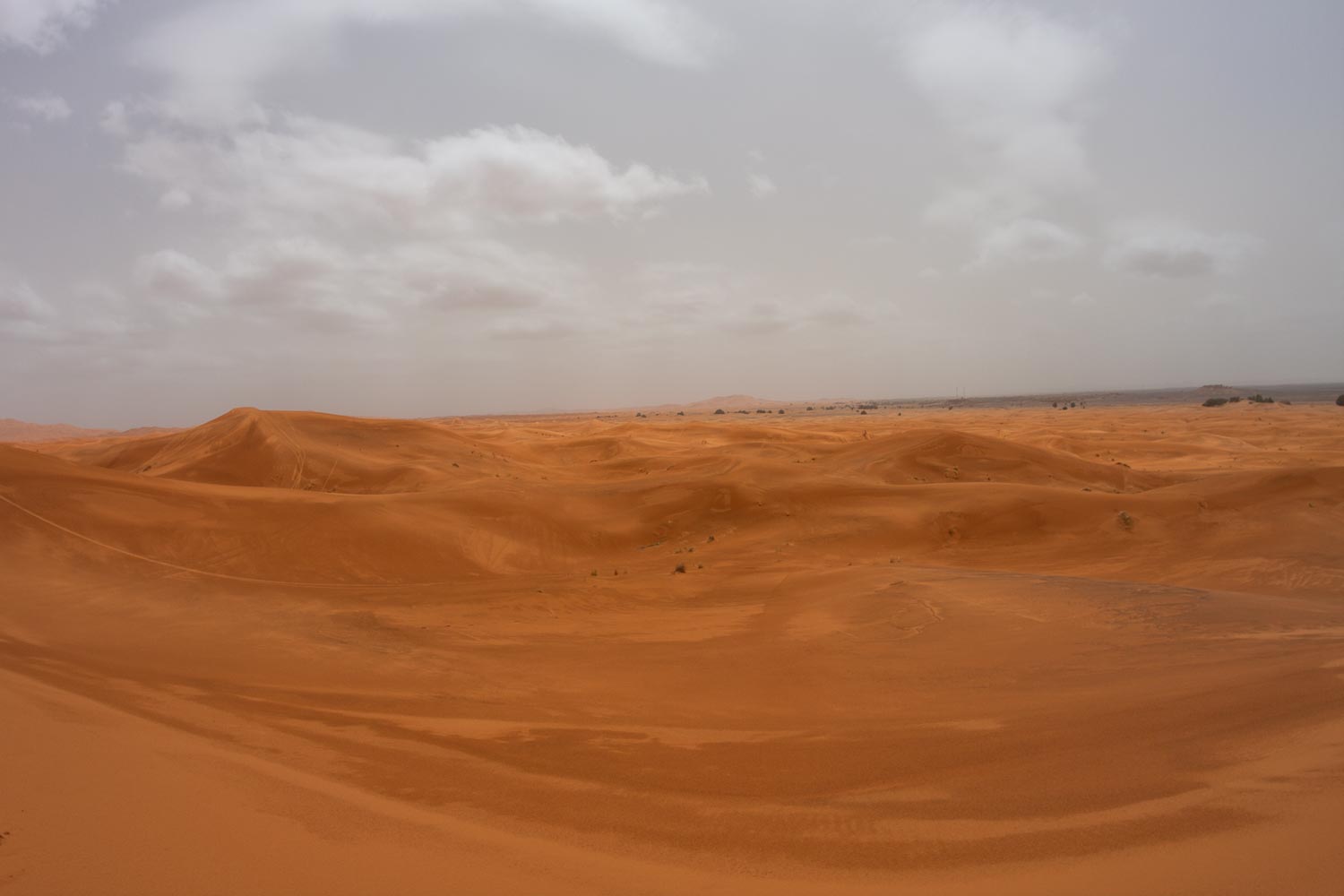 image10