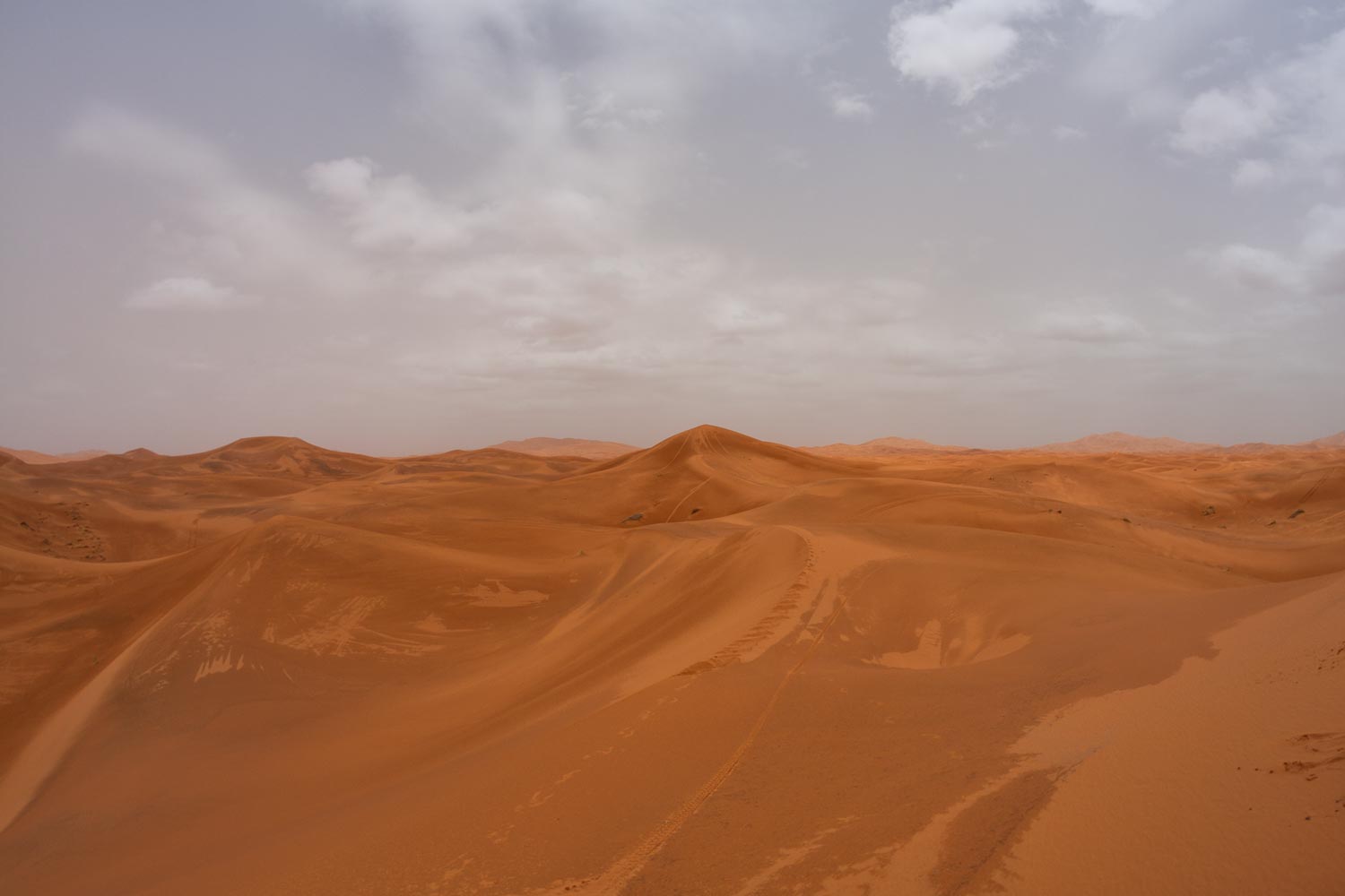 image10