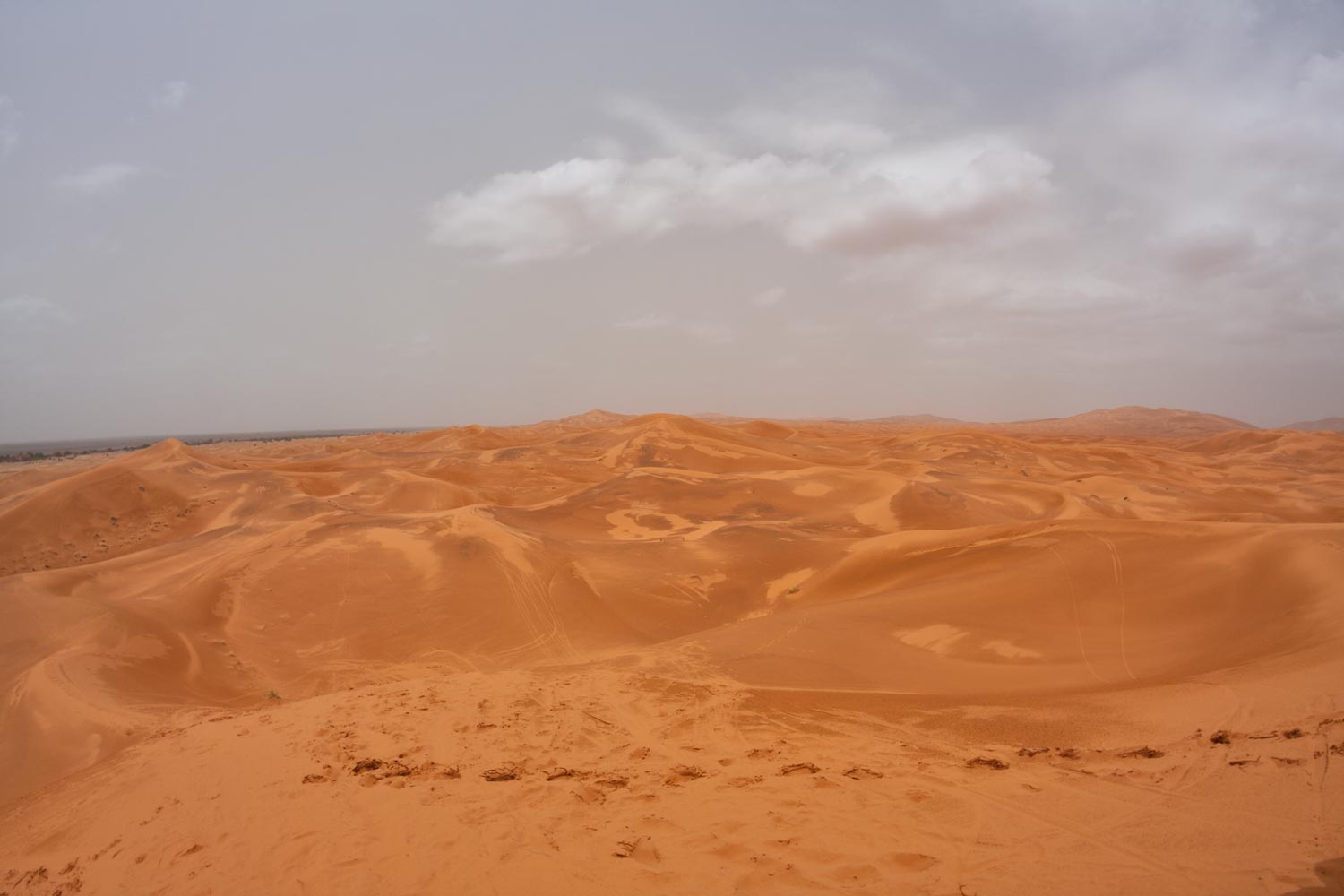 image10
