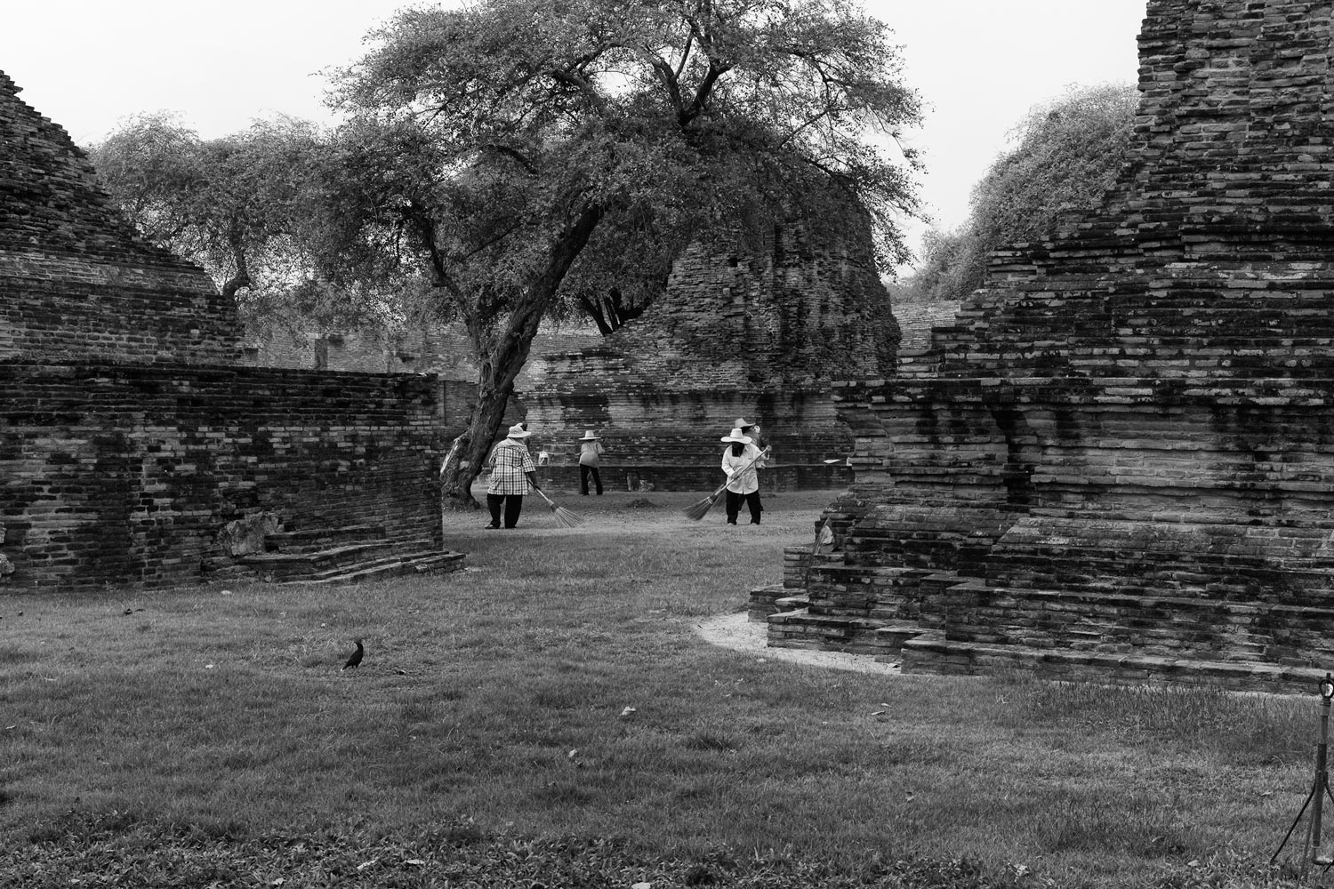 image15
