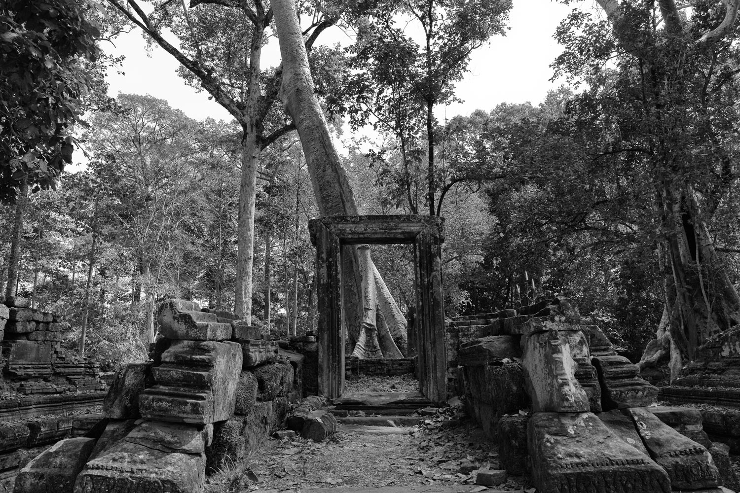 image16